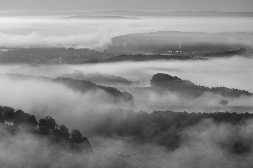 *Wittlich im Tal der Morgennebel*