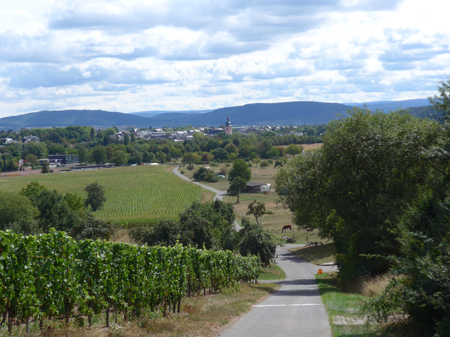 Wittlich und die Moselhöhen