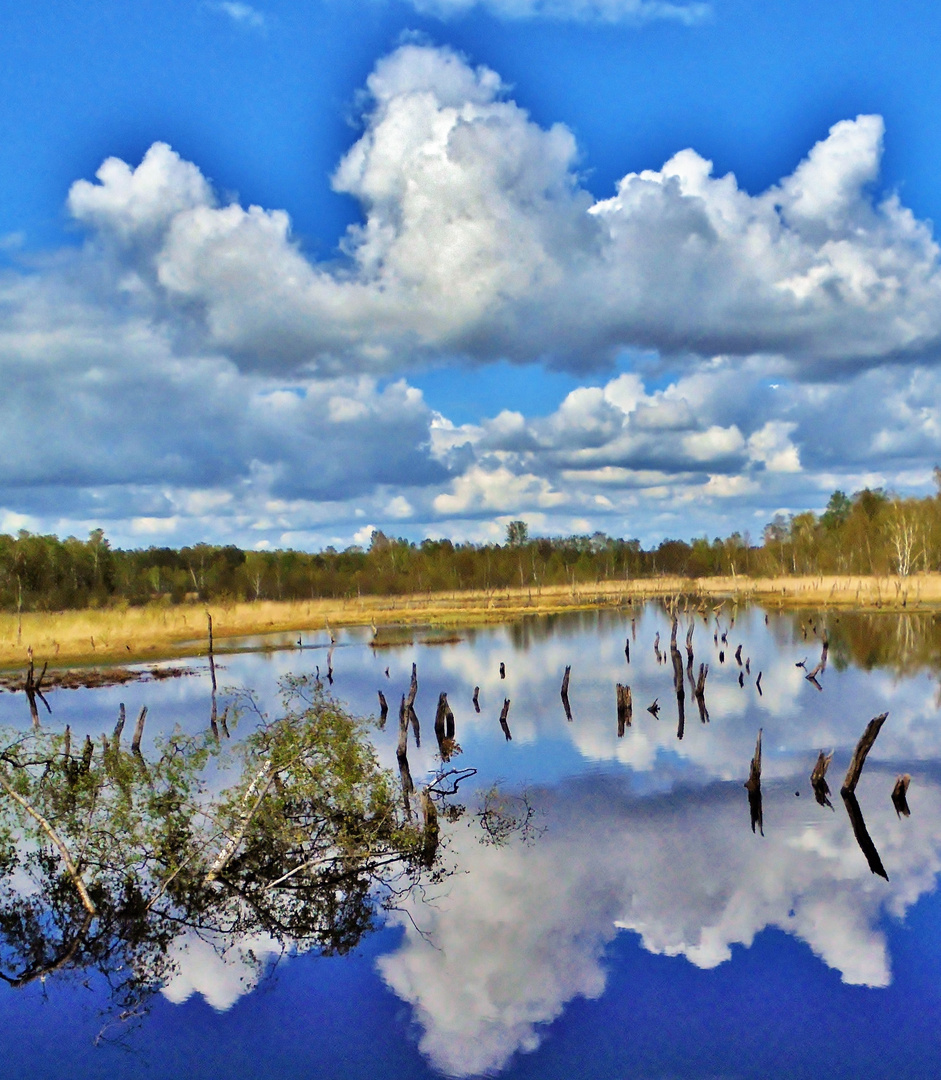 Wittmoor Foto & Bild monatswettbewerbe spezial, 2022, 04 wortwörtlich