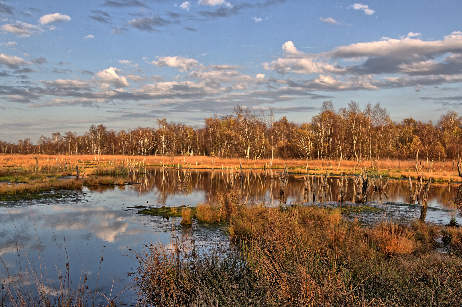 Wittmoor HDR