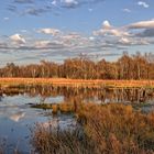 Wittmoor HDR