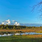 Wittmoor im Herbst