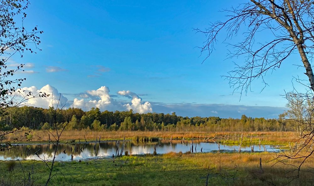 Wittmoor im Herbst