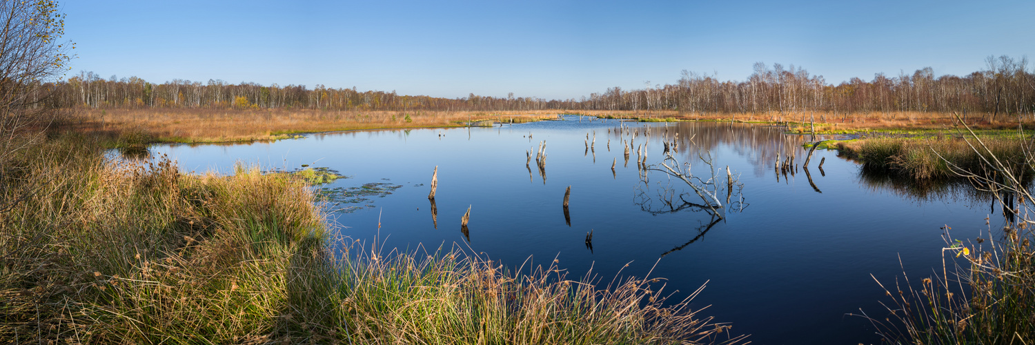 Wittmoor See