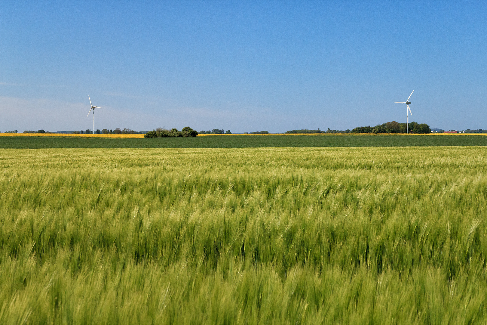 Wittower Landschaft