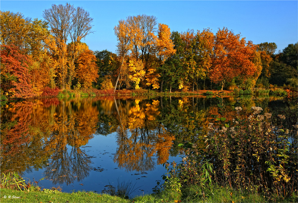 Wittringer Herbst