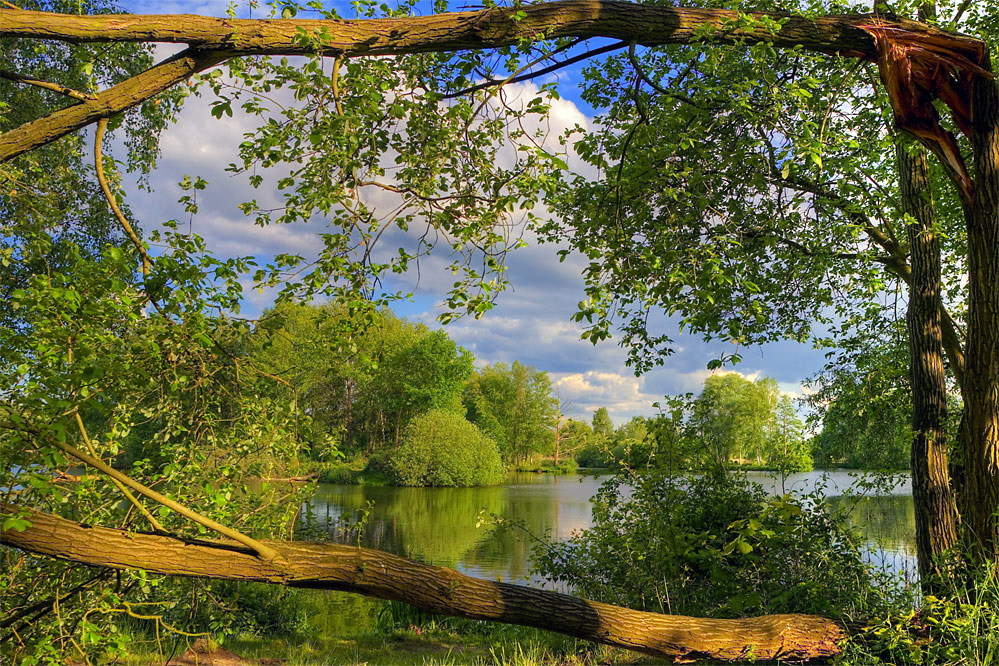 Witzeeze am See