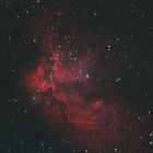 Wizard Nebel NGC 7380