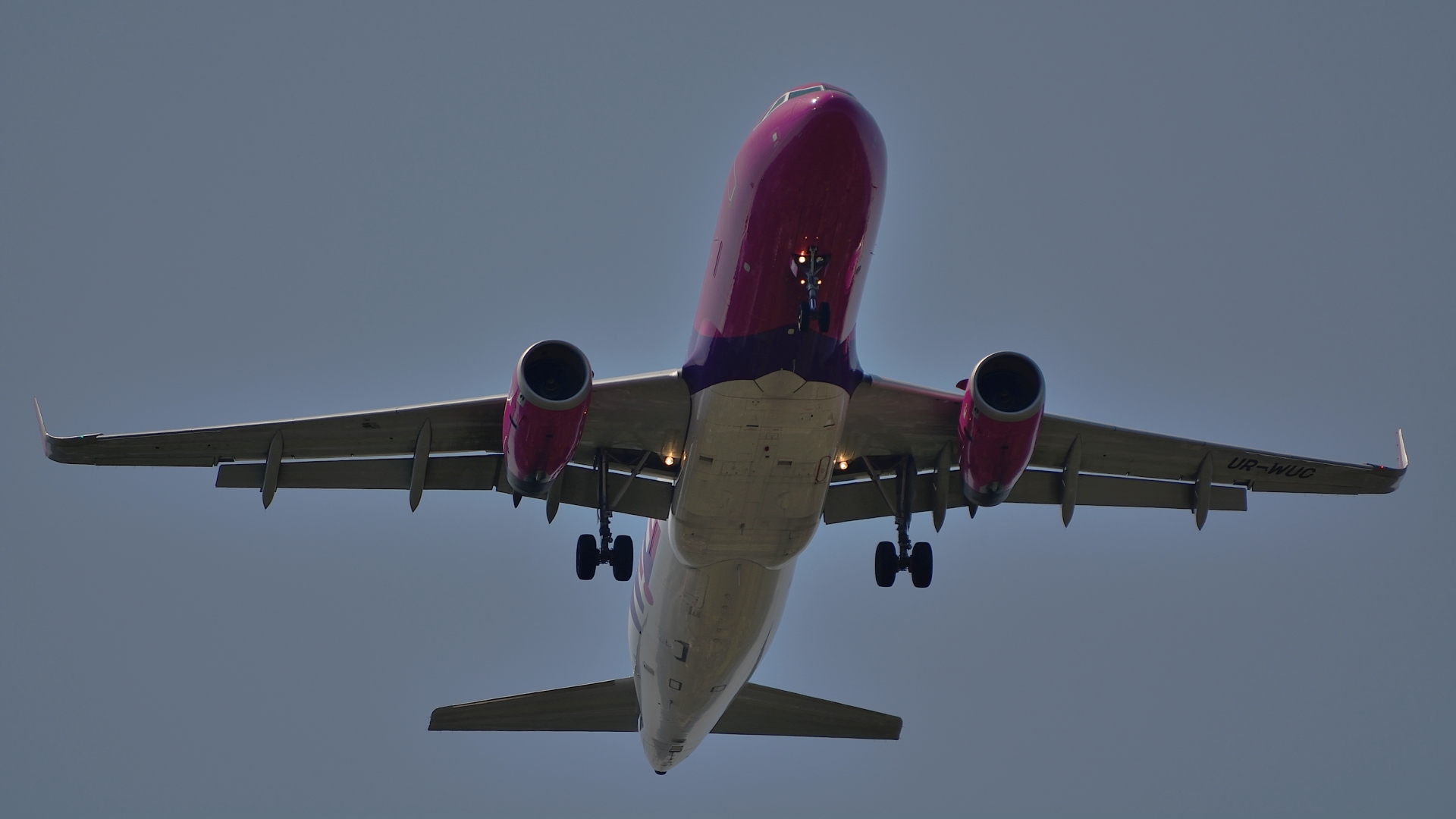 WIZZ AIR