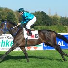 wladi mit little eddie beim aufgalopp