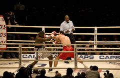 Wladimir Klitschk.o. infight