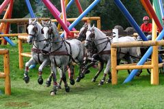 WM Aachen 2006 - Marathonfahrt der Vierspänner