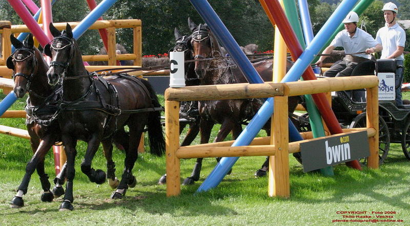 WM Aachen 2006 - Marathonfahrt der Vierspänner (7)