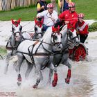 WM Aachen 2006 - Marathonfahrt der Vierspänner