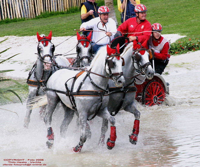 WM Aachen 2006 - Marathonfahrt der Vierspänner