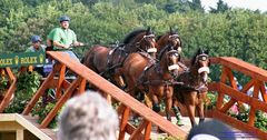 WM Aachen 2006 - Marathonfahrt der Vierspänner