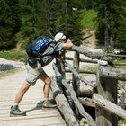 User Profile Photo