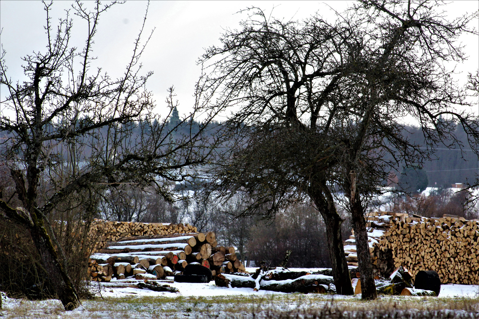 WNTER LANDSCHAFTEN