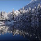 Wntermorgen am Blausee