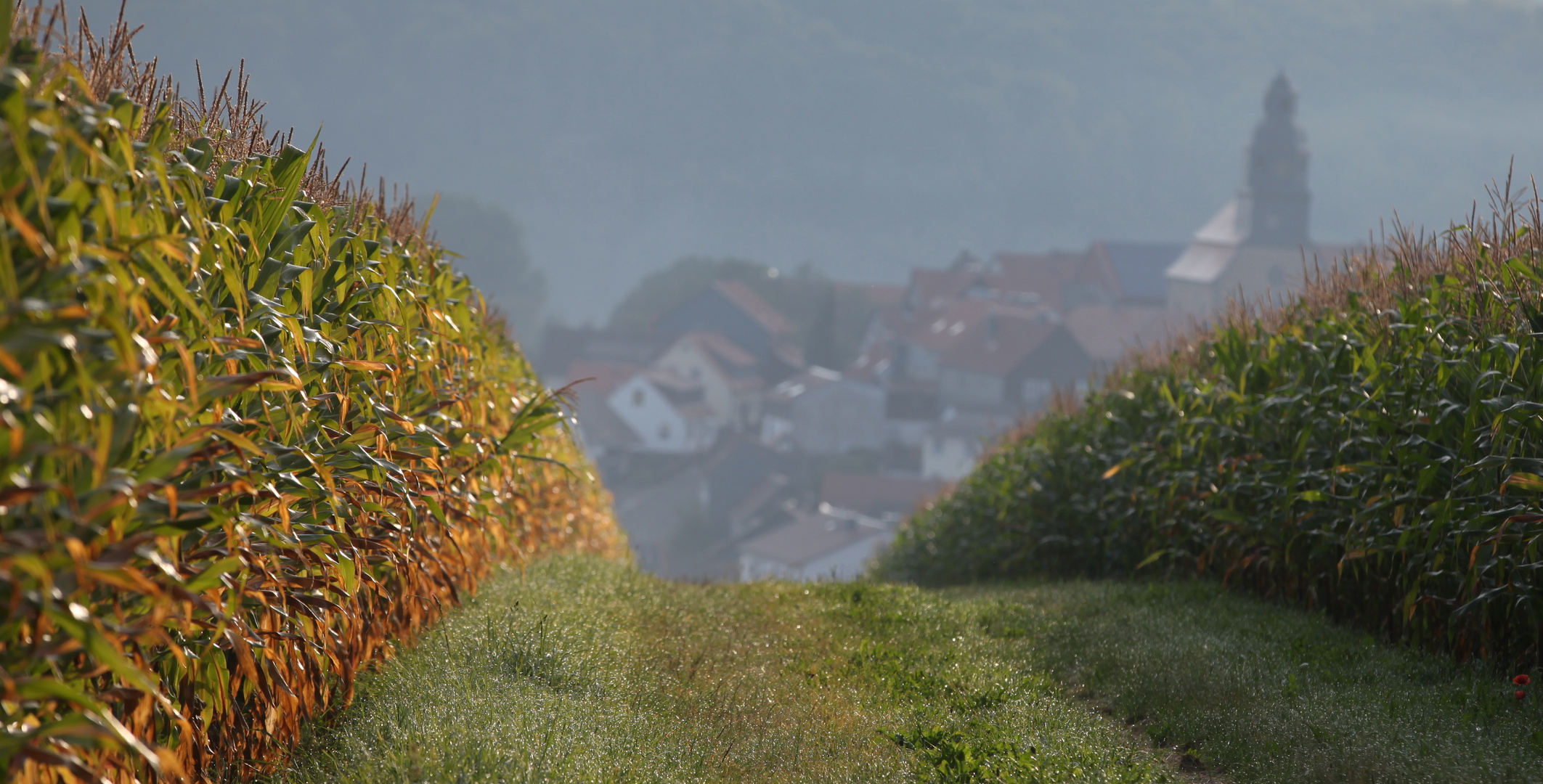 Wo auch immer - nördlich von Marburg