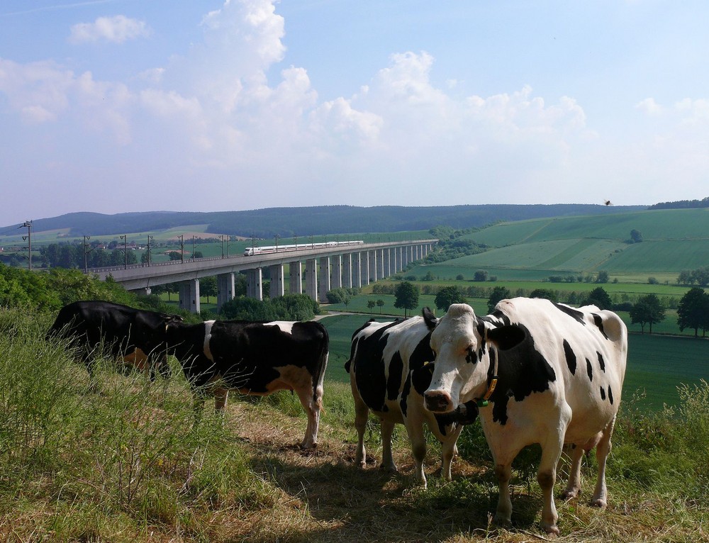 Wo bitte, bleibt der Stier...?