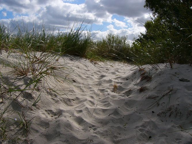 wo bitte geht es hier zum Strand?