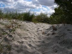 wo bitte geht es hier zum Strand?