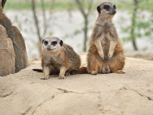 Wo bitte gehts hier zum FKK-Strand?