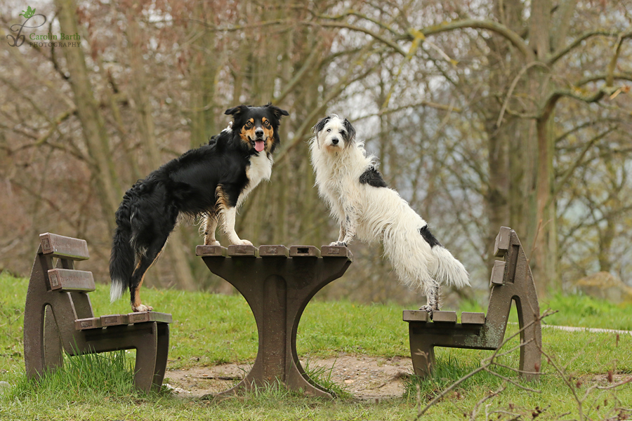 Wo bleibt das Picknick?