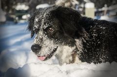 Wo bleibt denn der nächste Schneeball??