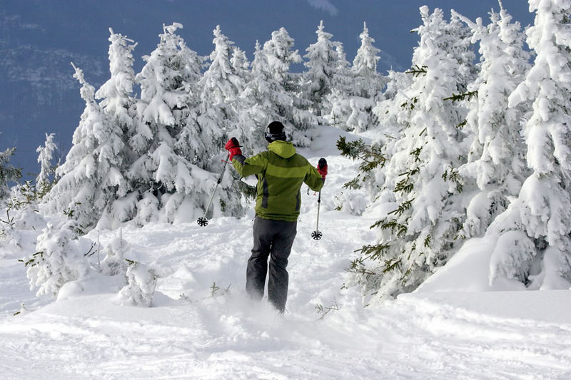 Wo bleibt denn der Winter dieses Jahr ?