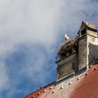 Wo bleibt denn meine Frau mit dem Essen, ist doch schon gleich 12:00 Uhr...