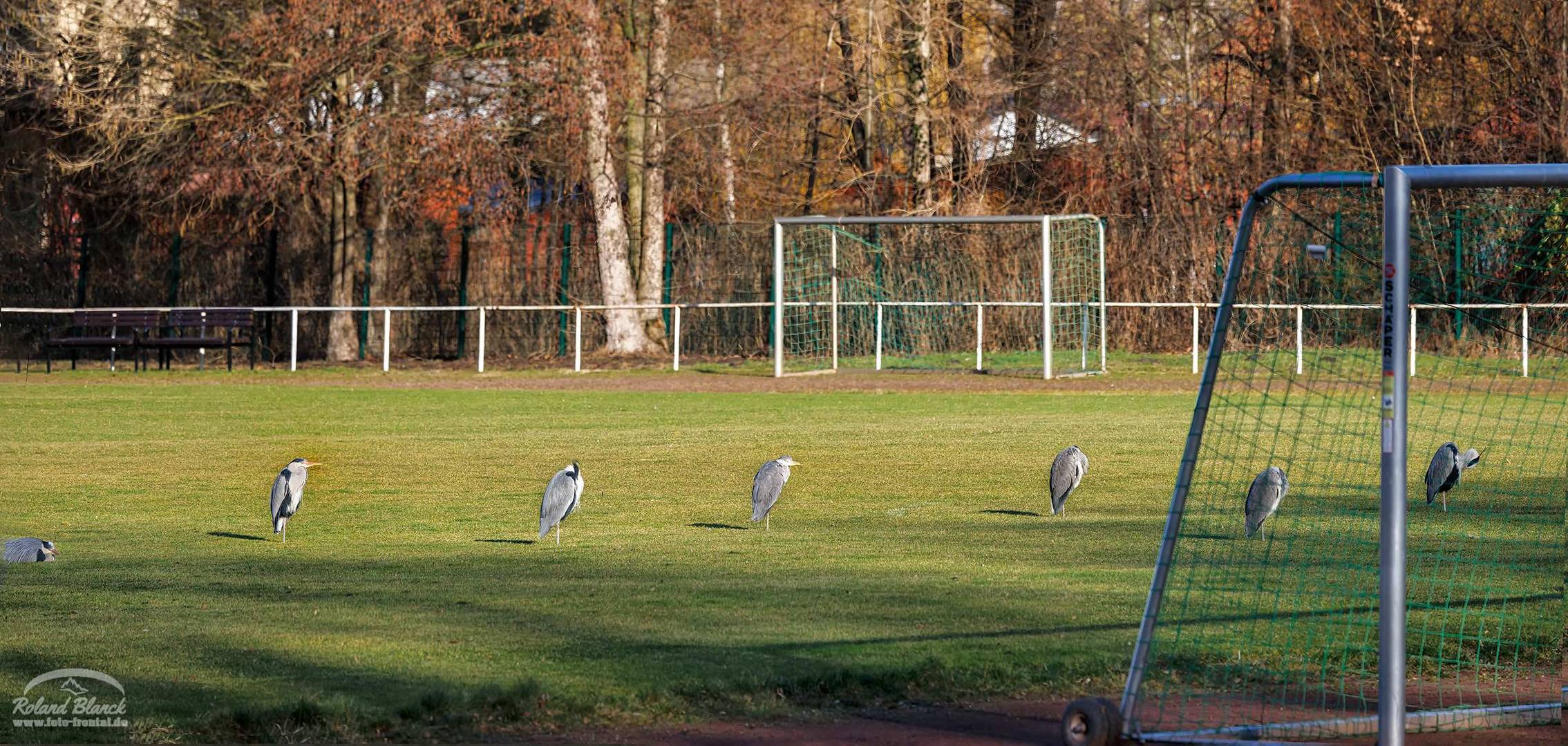 Wo bleibt denn nun der Ball