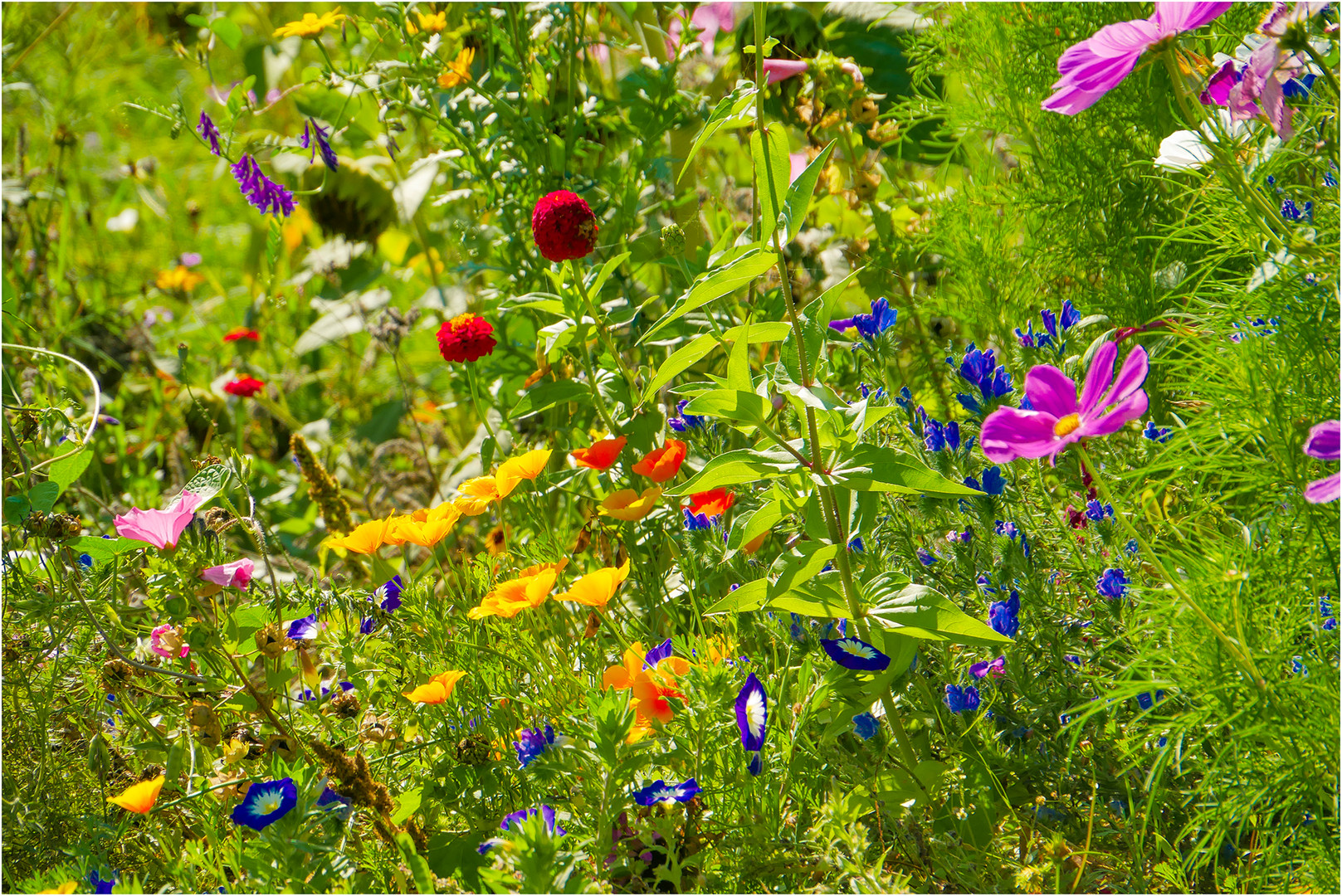 Wo bleibt der Frühling ?