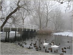 wo bleibt der Frühling...