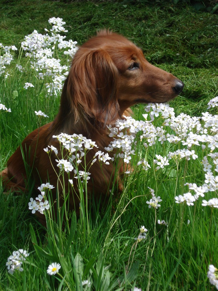 Wo bleibt der Frühling?