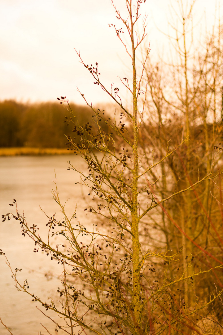 Wo bleibt der Frühling?