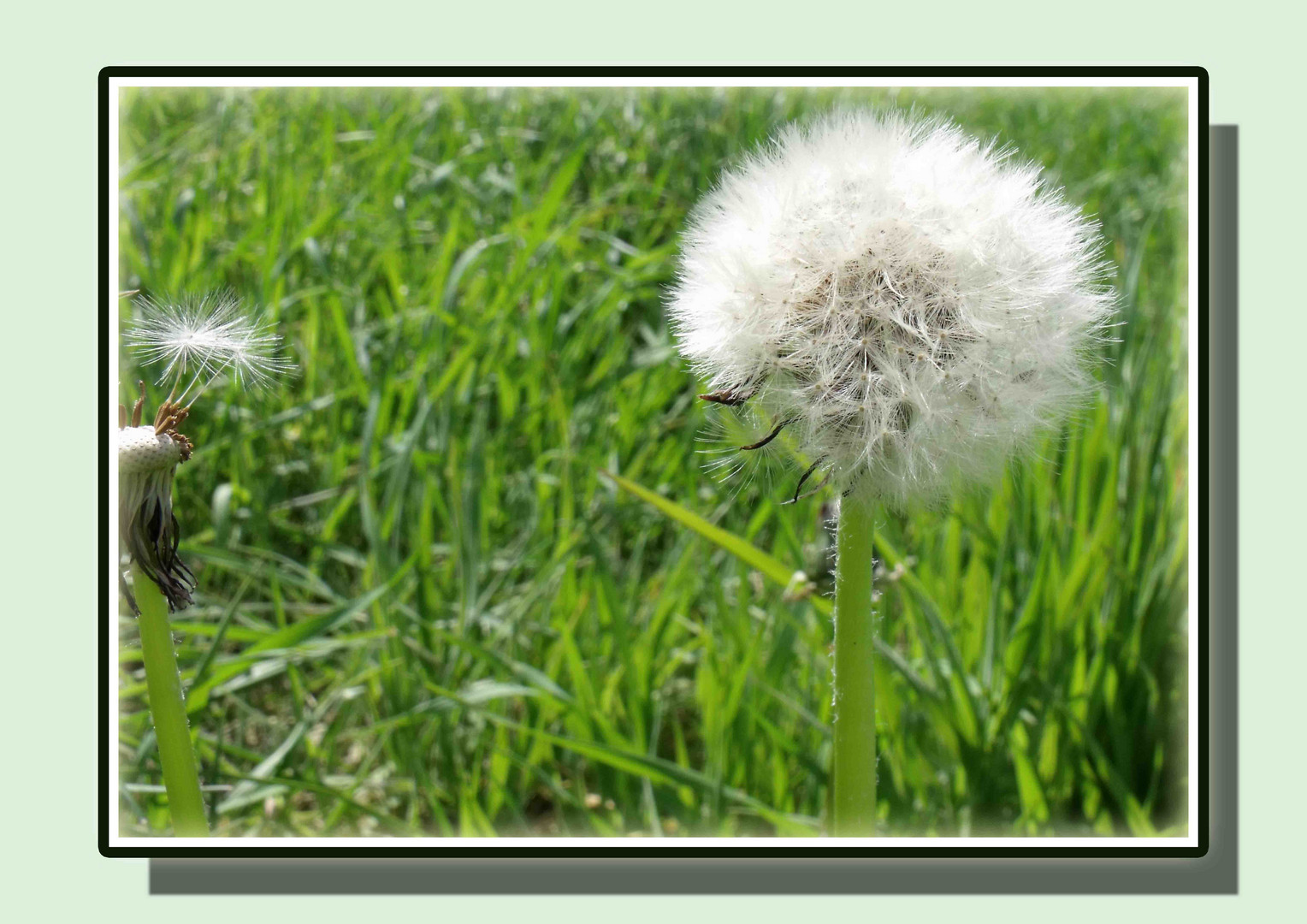 Wo bleibt der Frühling