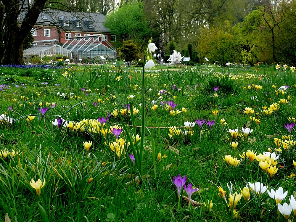 Wo bleibt der Frühling?