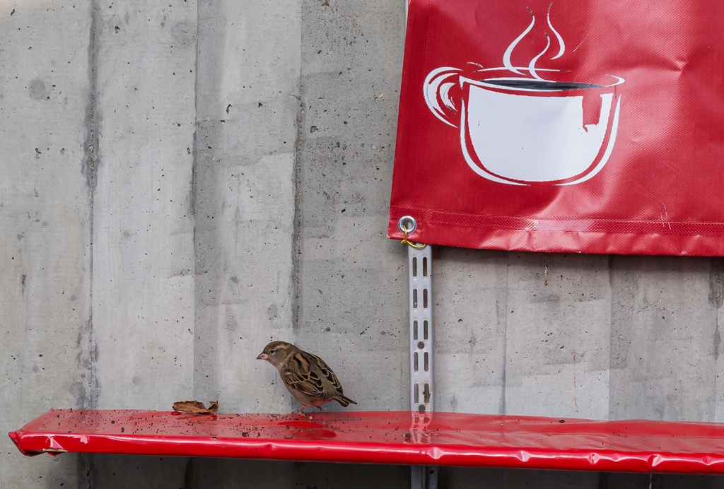 "Wo bleibt der Kaffee? - mir ist kalt!"