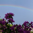 Wo bleibt der Regen lieber Bogen