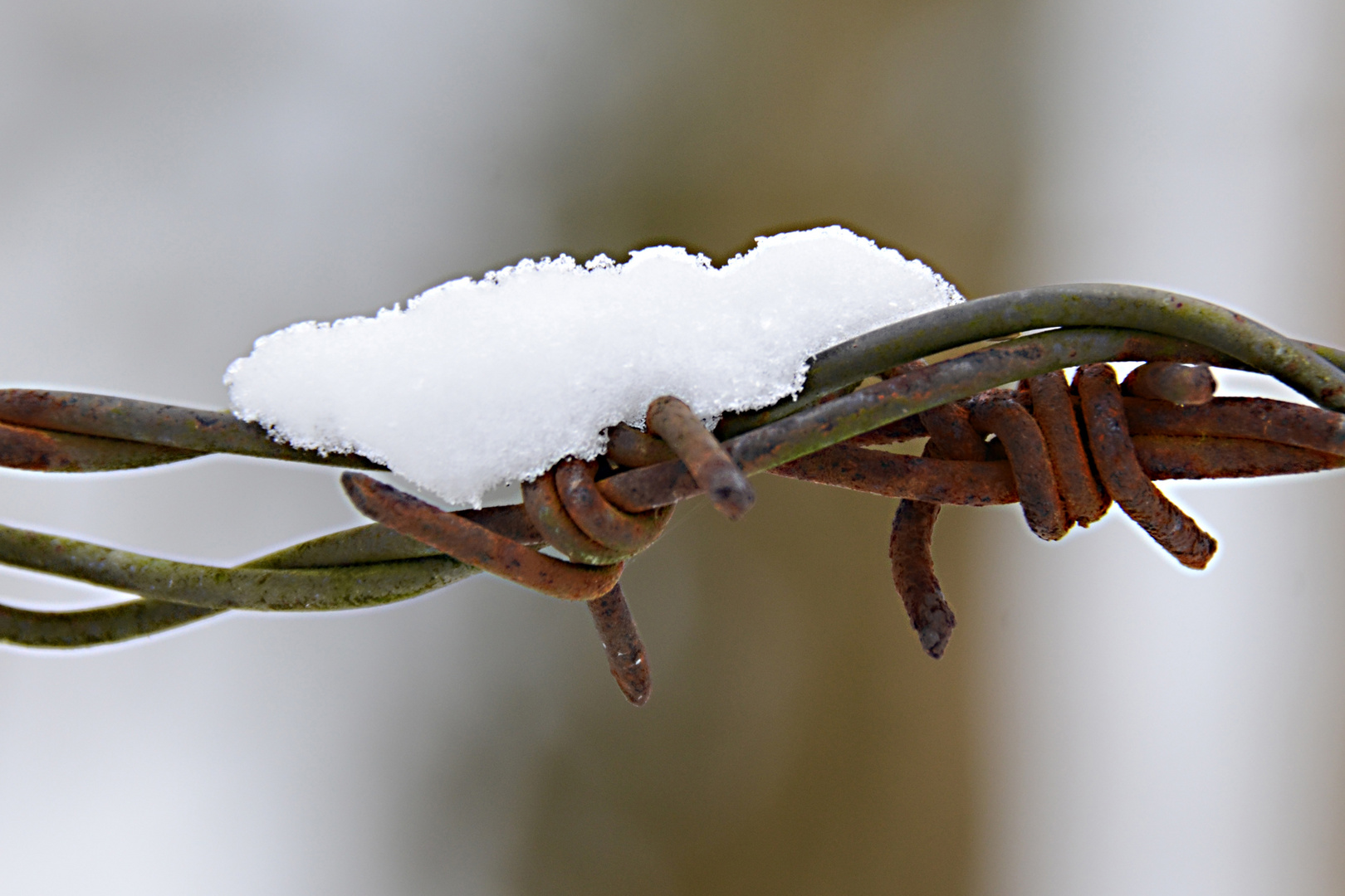 Wo bleibt der Schnee