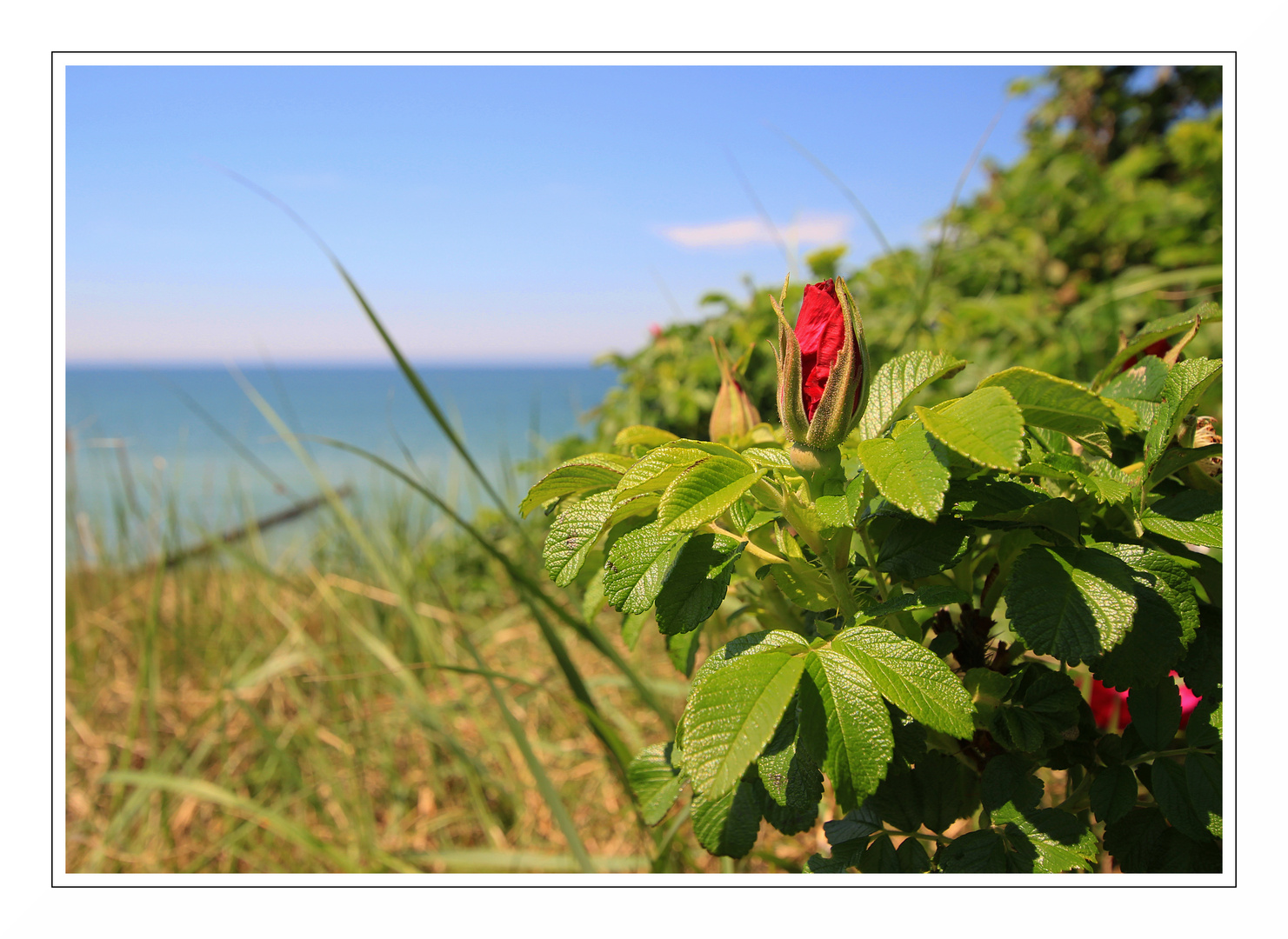 wo bleibt der Sommer...?