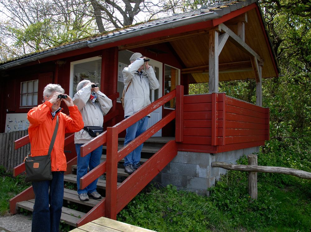 Wo bleibt der Weihnachtsmann ? Foto & Bild | erwachsene