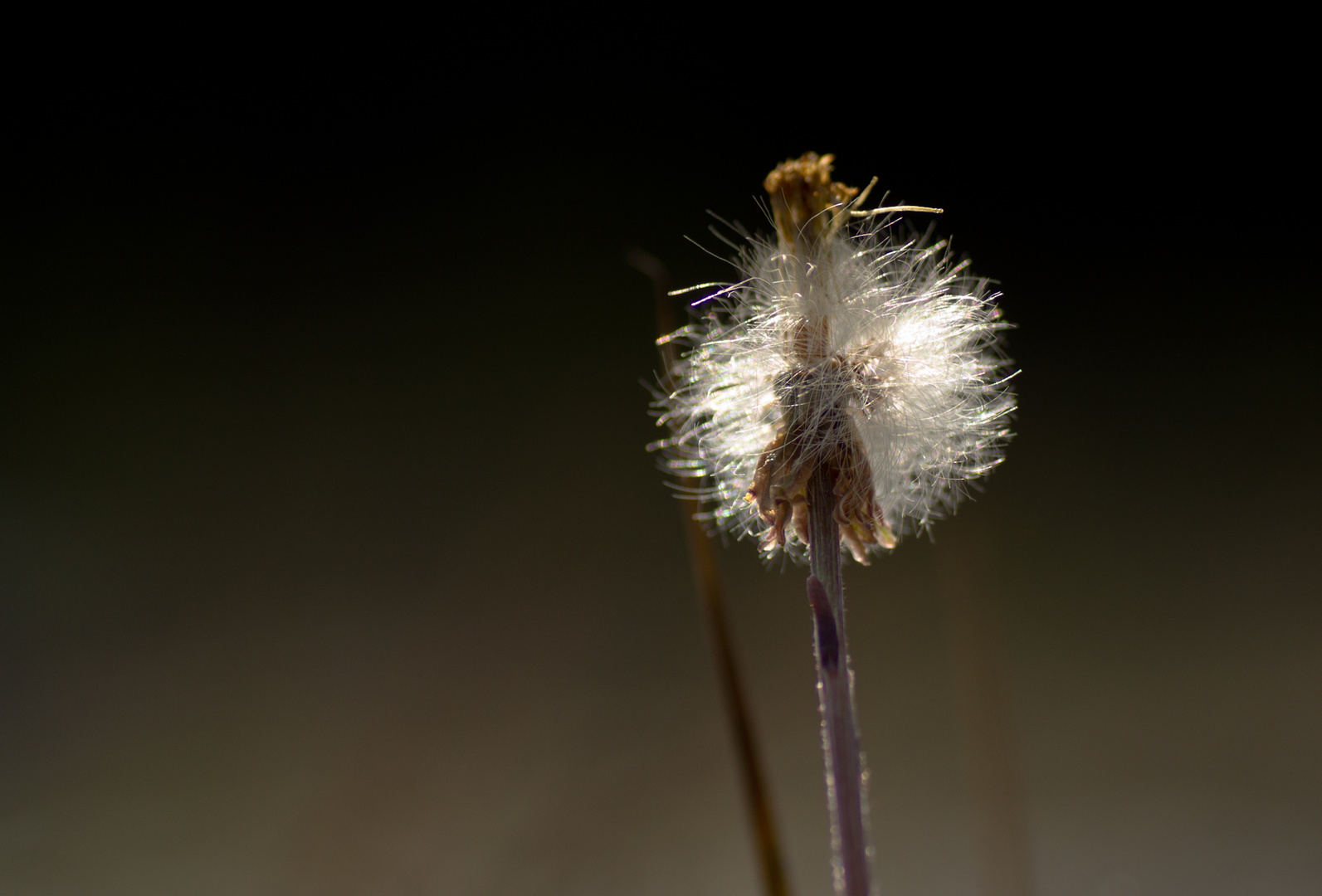 Wo bleibt der Wind