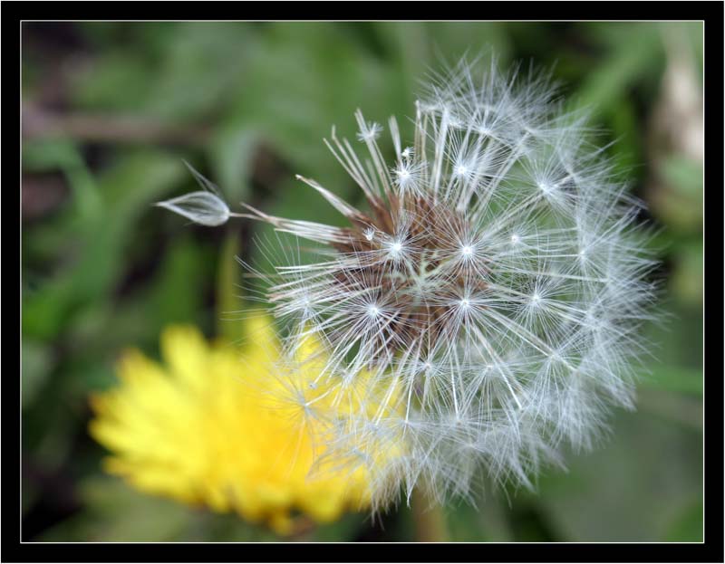 wo bleibt der Wind ?