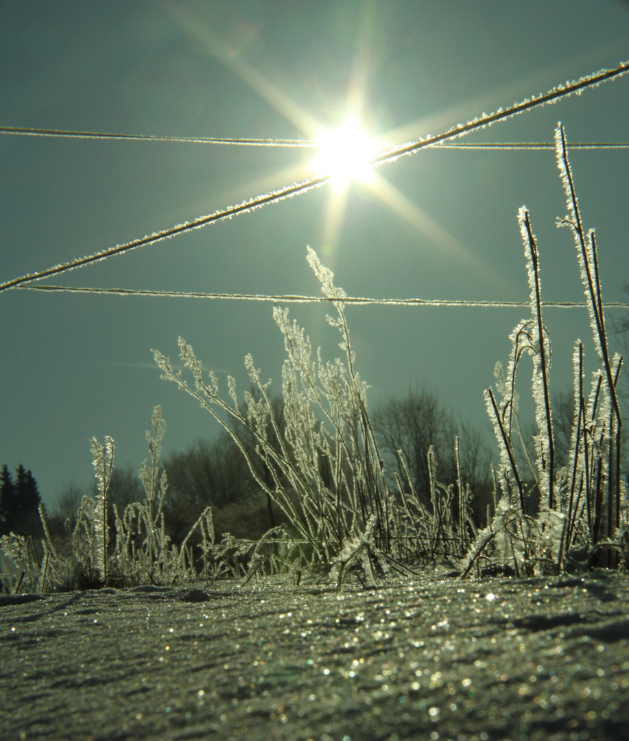 wo bleibt der Winter