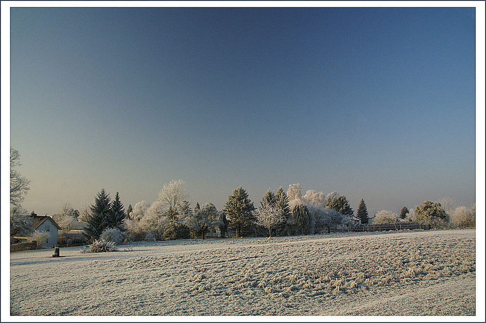 Wo bleibt der Winter, wie er früher war ?