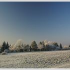 Wo bleibt der Winter, wie er früher war ?