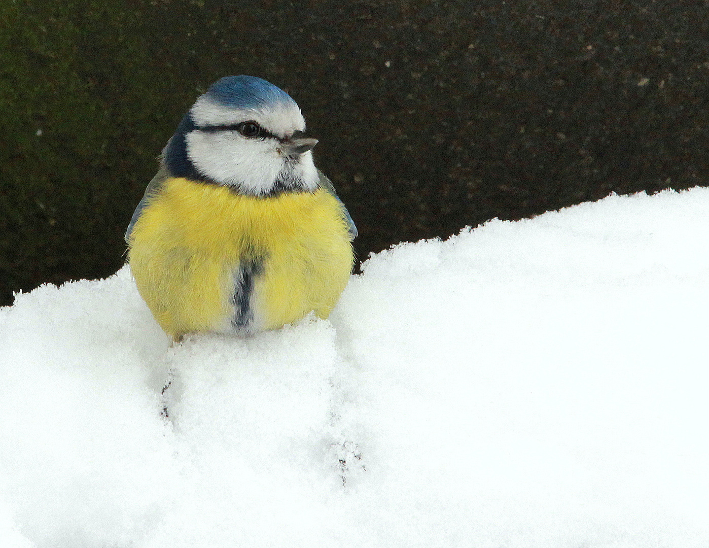 Wo bleibt der Winterdienst ?